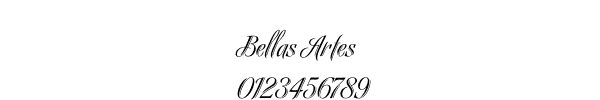 Fuente Bellas Artes.ttf