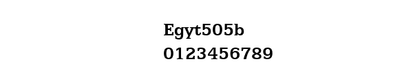 Fuente Egyt505b.ttf