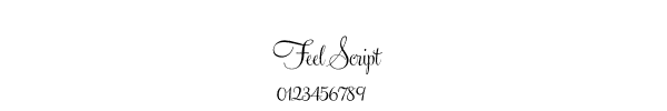 Fuente Feel Script.ttf