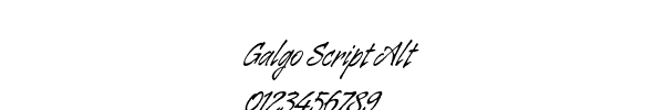 Fuente Galgo Script Alt.ttf
