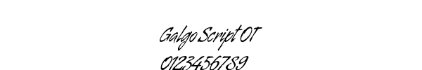 Fuente Galgo Script OT.ttf