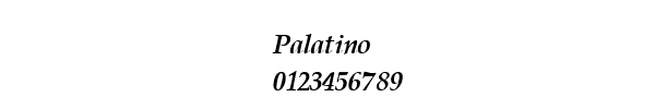 Fuente Palatino.TTF