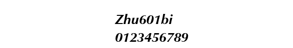 Fuente Zhu601bi.ttf