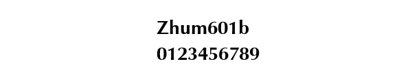 Fuente Zhum601b.ttf