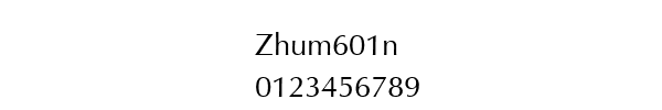 Fuente Zhum601n.ttf