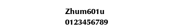 Fuente Zhum601u.ttf