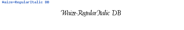 Fuente Waize-RegularItalic DB.ttf
