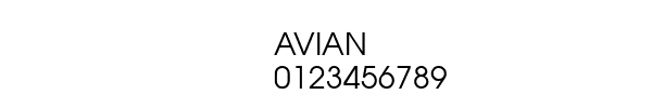 Fuente AVIAN.TTF