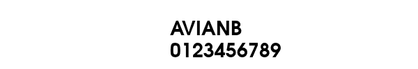 Fuente AVIANB.TTF