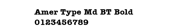 Fuente Amer Type Md BT Bold.ttf