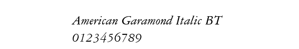 Fuente American Garamond Italic BT.ttf