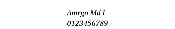 Fuente Amrgo Md I.ttf