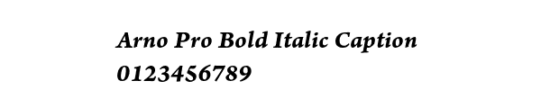 Fuente Arno Pro Bold Italic Caption.ttf