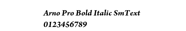Fuente Arno Pro Bold Italic SmText.ttf