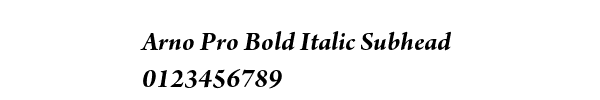 Fuente Arno Pro Bold Italic Subhead.ttf