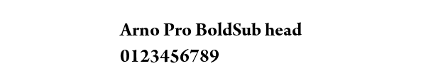 Fuente Arno Pro BoldSub head.ttf