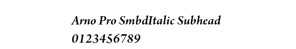 Fuente Arno Pro SmbdItalic Subhead.ttf