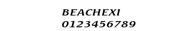 Fuente BEACHEXI.TTF