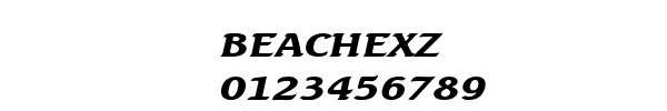 Fuente BEACHEXZ.TTF
