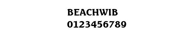 Fuente BEACHWIB.TTF