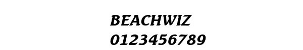 Fuente BEACHWIZ.TTF