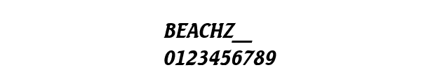 Fuente BEACHZ__.TTF