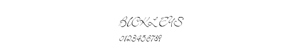 Fuente BICKLEYS.TTF