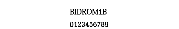 Fuente BIDROM1B.TTF