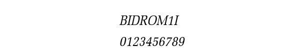 Fuente BIDROM1I.TTF