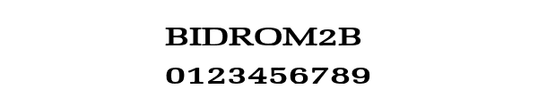 Fuente BIDROM2B.TTF