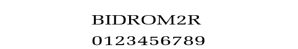 Fuente BIDROM2R.TTF
