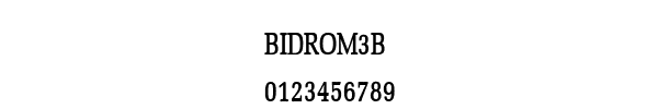 Fuente BIDROM3B.TTF
