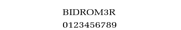 Fuente BIDROM3R.TTF