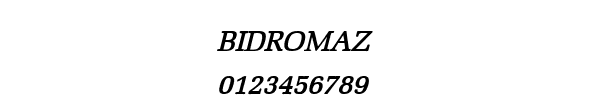 Fuente BIDROMAZ.TTF