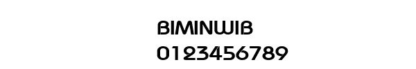 Fuente BIMINWIB.TTF
