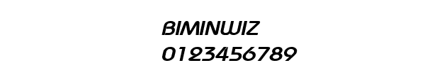 Fuente BIMINWIZ.TTF