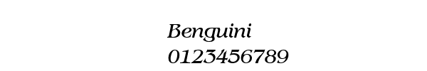 Fuente Benguini.ttf