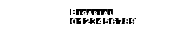 Fuente Bigarial.ttf