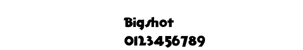 Fuente Bigshot.ttf