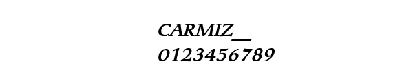 Fuente CARMIZ__.TTF
