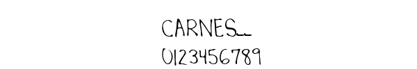 Fuente CARNES__.TTF