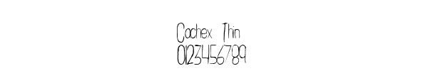 Fuente Cachex Thin.ttf