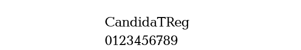 Fuente CandidaTReg.ttf