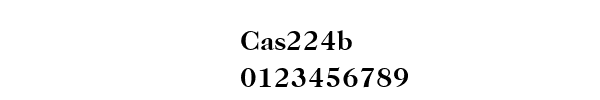 Fuente Cas224b.ttf