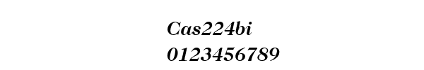 Fuente Cas224bi.ttf