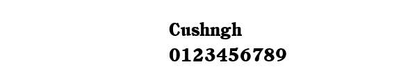 Fuente Cushngh.ttf