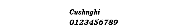 Fuente Cushnghi.ttf