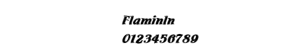 Fuente Flaminln.ttf