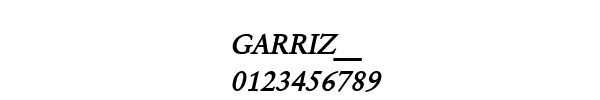 Fuente GARRIZ__.TTF