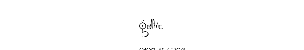 Fuente Gothic.ttf